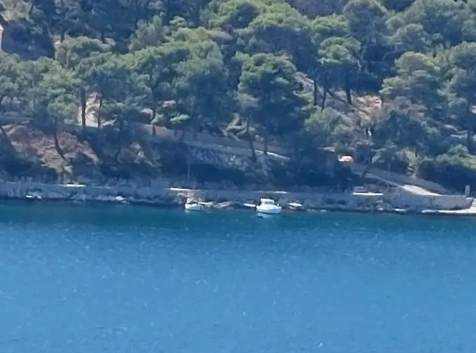 The Look مالي لوشينغْ