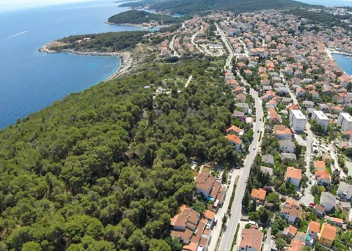 The Look * مالي لوشينغْ