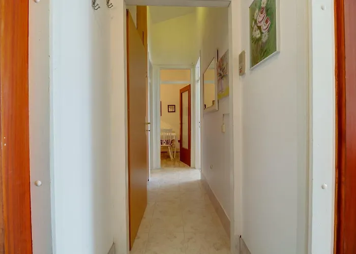 The Look * مالي لوشينغْ