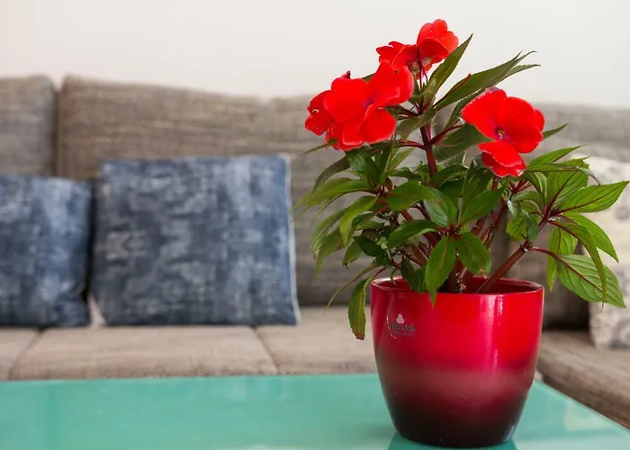 The Look * مالي لوشينغْ